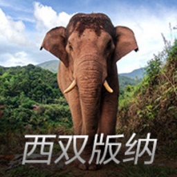 pg电玩官方下载链接V5.4.12
